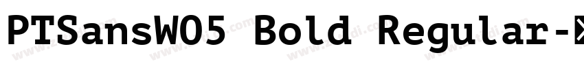PTSansWO5 Bold Regular字体转换